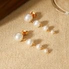 9274a174-3690-48ad-9d6c-3c6b8771a07e-Max-Origin