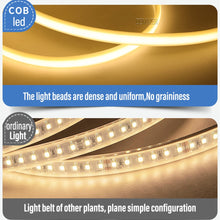 Load image into Gallery viewer, Waterproof Outdoor LED Strip 220V High Brightness
