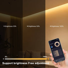 Laden Sie das Bild in den Galerie-Viewer, Neon 24V LED-Streifen mit Tuya Smart WiFi APP, Sprachsteuerung
