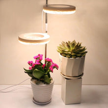 Laden Sie das Bild in den Galerie-Viewer, LED Grow Phyto Lamp For Plants With Spike 9 Levels Dimming 3 Levels Timing - www.novixan.com
