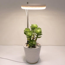 Load image into Gallery viewer, LED Grow Phyto Lamp For Plants With Spike 9 Levels Dimming 3 Levels Timing - www.novixan.com

