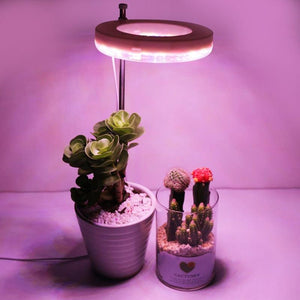 LED Grow Phyto Lamp For Plants With Spike 9 Levels Dimming 3 Levels Timing - www.novixan.com