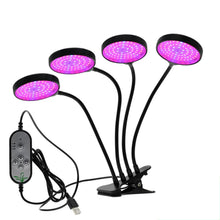 Load image into Gallery viewer, Full Spectrum Phyto Grow Light with Timer Clip - www.novixan.com
